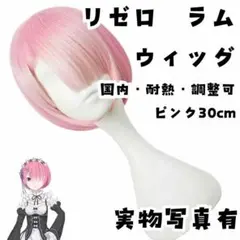 ウィッグ カツラ ラムちゃん　ゼロから始まる異世界生活 30cm【現物写真有】