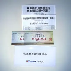 ヤマダホールディングス　お買物優待券