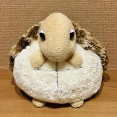 オーロラ　Aqua kids　アクアキッズ　亀　ウミガメ　ぬいぐるみのサムネイル