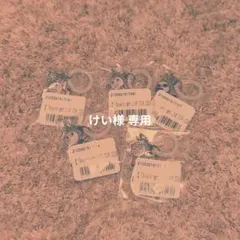 けい様 専用ページ