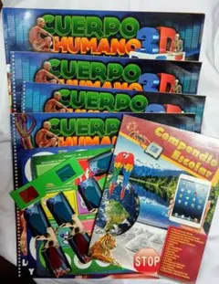 Item thumbnail for item 1860e7d5-5489-430a-8a24-7c067cd2669c