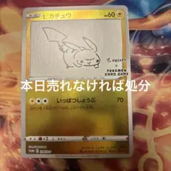 2026年最新】長場雄 ピカチュウの人気アイテム - メルカリ