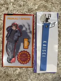 武知海青 グッズセット