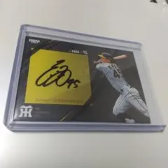 Item thumbnail for item 03dd5508-9245-4ff6-8b40-c904e106684f