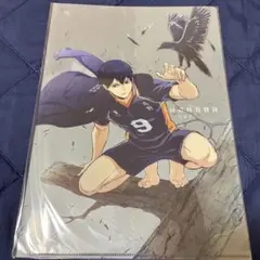 ハイキュー　クリアファイル　コスパ　クリアファイル　影山飛雄