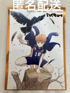 ハイキュー　ジャンプフェスタコスパ　cospa 特典　ブロマイド　日向翔陽