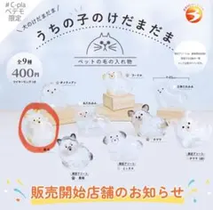 KUMAさん様 リクエスト 2点 まとめ商品