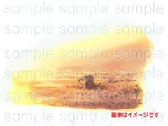 (S7) 特別価格　風景画　絵画　手描き　原画　水彩画　インテリア