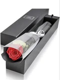 Item thumbnail for item 01668d6f-68f8-4d6e-bf1c-bfffc605a56e