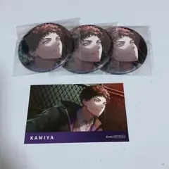 ブレイクマイケース　ブレマイ　神家　缶バッジ　アニメイトフェア　特典