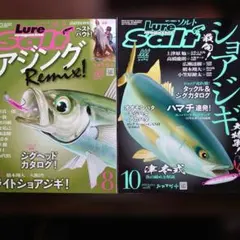 ルアー・マガジン　ソルト　2020年8月＆10月号