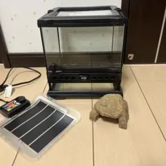 Item thumbnail for item 3dd46fb2-2477-4afd-9a77-2c320d683dd3