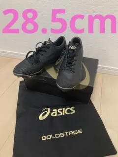 【新品未使用】アシックスasics/野球/ポイントスパイク【定価19,800円】