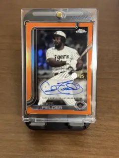 2026年最新】セシルフィルダーの人気アイテム - メルカリ