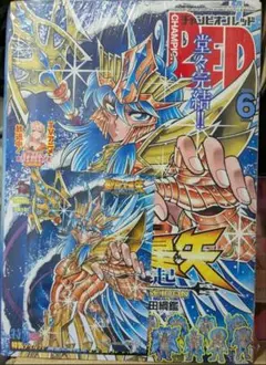 チャンピオンRED 聖闘士星矢 関連雑誌 5冊セット - メルカリ