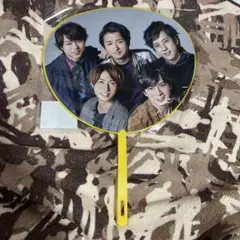 嵐 Are You Happy? 2016-2017 ミニうちわ