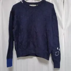 ユニクロアニヤハインドマーチm