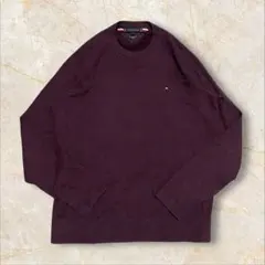 トミーヒルフィガー xl