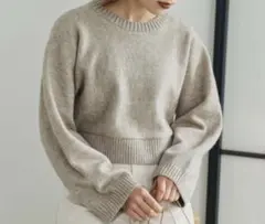 Edit Sheen エディット シーン ワイドスリーブハイゲージショートニット