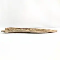 Item thumbnail for item 46234248-416c-4457-9dbc-fcad48d5f836