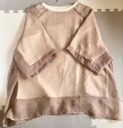 She's closet シアーTシャツ　フリーサイズ　ピンクベージュのサムネイル
