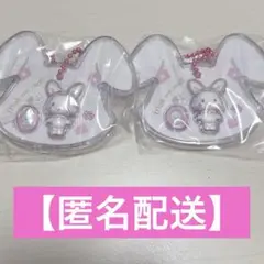 サンリオパッケージチャーム　ウィッシュミーメル2個セット