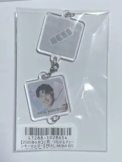2025年最新】rab リアルアキバボーイズの人気アイテム - メルカリ