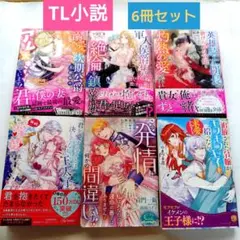 【匿名配送料込】TL小説6冊セット