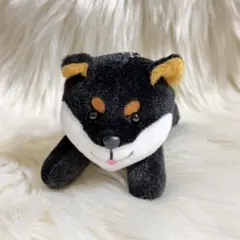 柴犬 ぬいぐるみ マスコット 黒柴