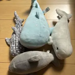 クジラとイルカのぬいぐるみ4体セット