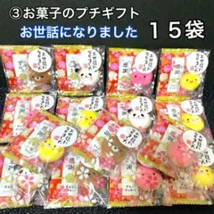 ③お菓子のプチギフト １５袋　詰め合わせ　卒園　卒業　退職　お配り