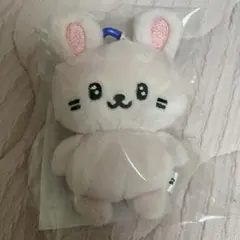 SUPERJUNIOR ZOONIOR 玩偶鑰匙圈 未開封 銀赫