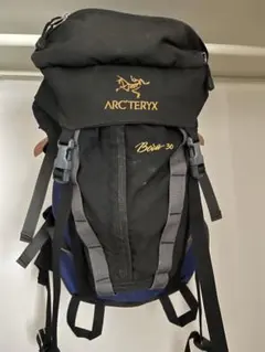 2025年最新】アークテリクス ボラの人気アイテム - メルカリ