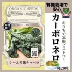 【野菜の種】イタリアの伝統野菜！有機カーボロネロ（黒キャベツ）10粒