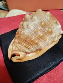 かとちゃん様 リクエスト 2点 まとめ商品