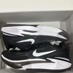 Nike Air Zoom G.T Cut 2