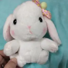 うさぎ ぬいぐるみ AMUSE Pote usa Loppyのサムネイル