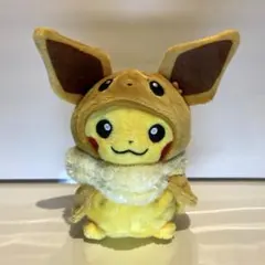 ウインディポンチョのイーブイ スマイル - メルカリ