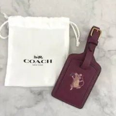 Item thumbnail for item 7840080b-7471-4949-ba5a-f426ba2e4792