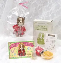 【新品•未開封】シルバニア⭐️小学館 マロンイヌの女の子 入学おめでとうセット⭐️