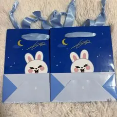 StrayKids SKZOO GIGO 페이퍼백 리빗 2장 세트