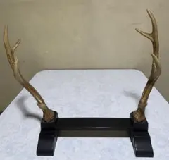 2025年最新】鹿角刀掛けの人気アイテム - メルカリ