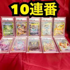 10連番　PSA10、PSA９　ブイズex SAR　テラスタルフェスex