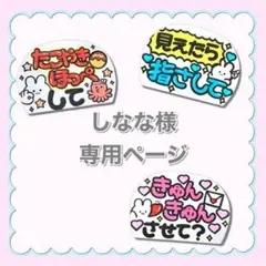 【専用ページ】 しなな様 ファンサボード カンペうちわ オーダー