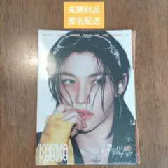 Stray kids KARMA アコーディオン フィリックス ピリ