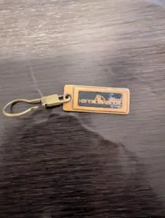 Item thumbnail for item 61f2a83e-c6c1-4363-b094-d02b2bd909e0