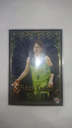多嶋朝飛 2018-2019 BlackLabel 100枚限定 レバンガ北海道