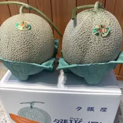 糖度15以上保証!! 夕張IKメロン4玉 秀品8キロ 糖度15以上保証!! 夕張IKメロン4玉 秀品8キロ - メルカリ