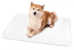 Item thumbnail for item 92328f79-f59d-4d12-9534-2fdca7c1230d