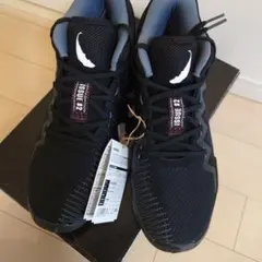 Item thumbnail for item d43c94bf-0ebc-45cd-b72f-48238f8f7de1